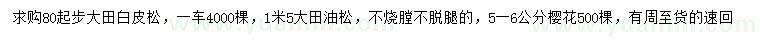 求購白皮松、油松、櫻花