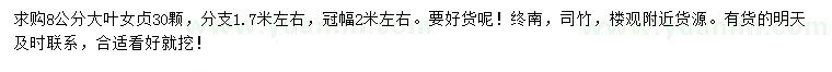 求購8公分大葉女貞
