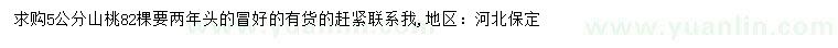 求購5公分山桃