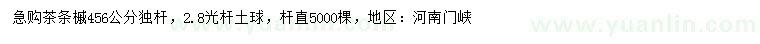 求購4、5、6公分茶條槭