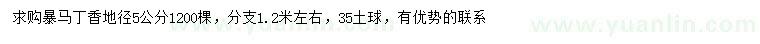 求購地徑5公分暴馬丁香