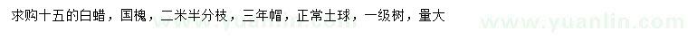 求購(gòu)15公分白蠟、國(guó)槐