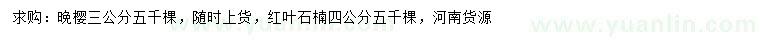 求購3公分晚櫻、4公分紅葉石楠