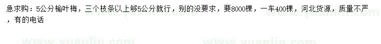 求購5公分榆葉梅