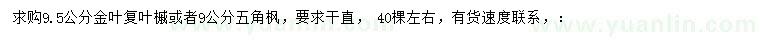 求購(gòu)9.5公分金葉復(fù)葉槭或者9公分五角楓