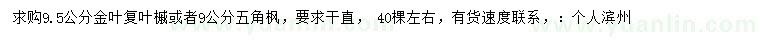 求購9.5公分金葉復(fù)葉槭、9公分五角楓