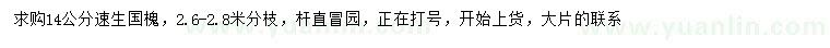 求購14公分速生國槐