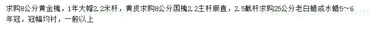 求購(gòu)黃金槐、國(guó)槐、老白蠟等