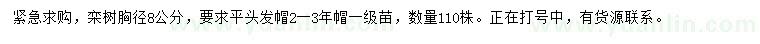 求購(gòu)胸徑8公分欒樹