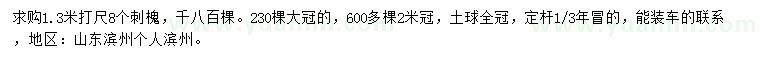 求購1.3米量8公分刺槐