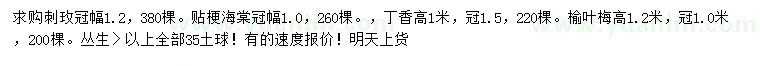 求購(gòu)刺玫、貼梗海棠、丁香等