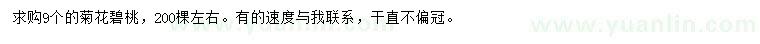 求購9公分菊花碧桃
