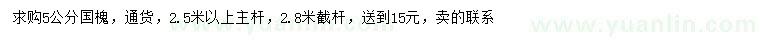 求購5公分國槐