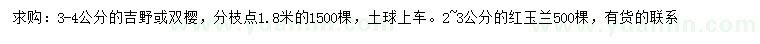 求購(gòu)3-4公分吉野、雙櫻、2-3公分紅玉蘭