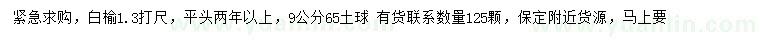 求購9公分白榆