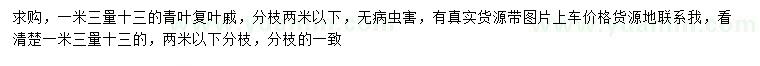 求購1.3米量13公分青葉復(fù)葉槭