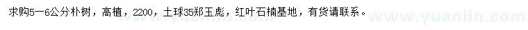 求購5-6公分樸樹