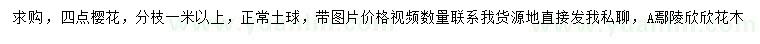 求購(gòu)櫻花