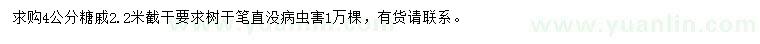 求購4公分糖槭