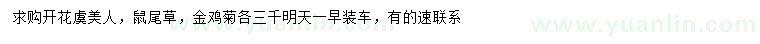 求購虞美人、鼠尾草、金雞菊