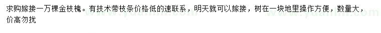 求購(gòu)金枝槐
