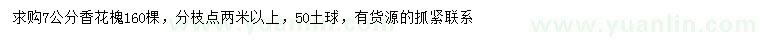 求購7公分香花槐