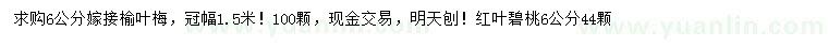 求購(gòu)6公分榆葉梅、紅葉碧桃