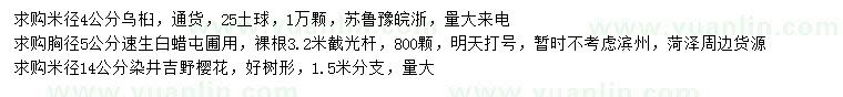 求購烏桕、速生白蠟、染井吉野櫻