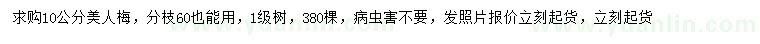 求購(gòu)10公分美人梅