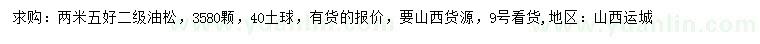 求購(gòu)2.5米油松