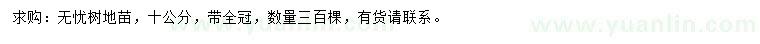 求購10公分無憂樹