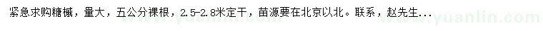 求購5公分糖槭