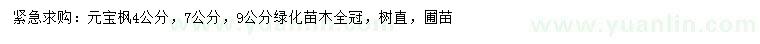 求購4、7、9公分元寶楓