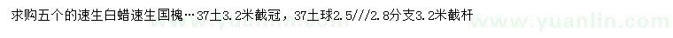求購5公分速生白蠟、速生國槐