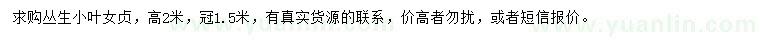 求購高2米叢生小葉女貞