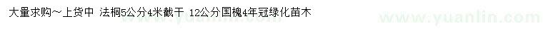 求購(gòu)5公分法桐、12公分國(guó)槐