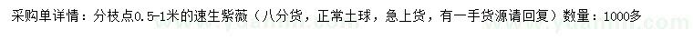 求購(gòu)速生紫薇