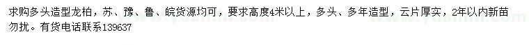 求購(gòu)高4米桂花造型龍柏