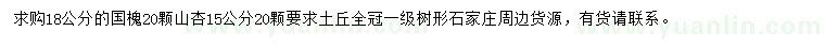 求購18公分國槐、15公分山杏