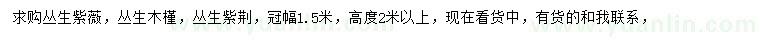 求購叢生紫薇、叢生木槿、叢生紫荊