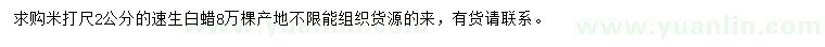 求購2公分速生白蠟