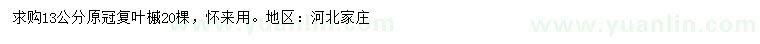 求購13公分復(fù)葉槭