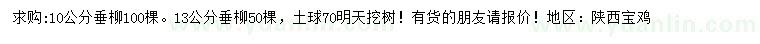 求購10、13公分垂柳