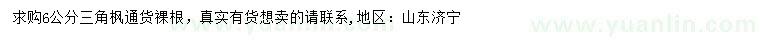 求購6公分三角楓