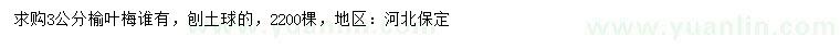 求購3公分榆葉梅