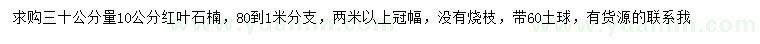 求購30公分量10公分紅葉石楠