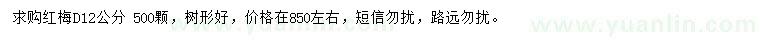 求購地徑12公分紅梅