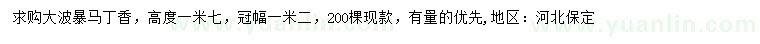 求購(gòu)高1.7米暴馬丁香