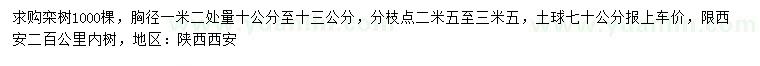 求購胸徑10-13公分欒樹