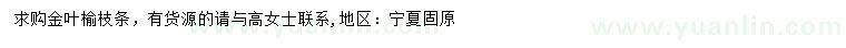 求購金葉榆枝條
